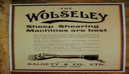 217 - Wolseley Shearing